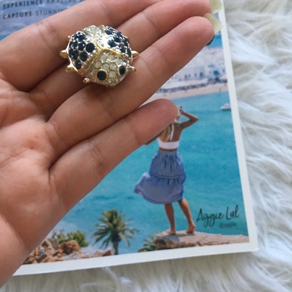 Ladybug Pin🐞 - Picture 2 of 3